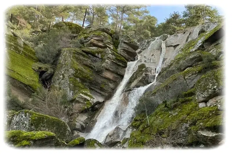 Aydın Bozdoğan İlçesi