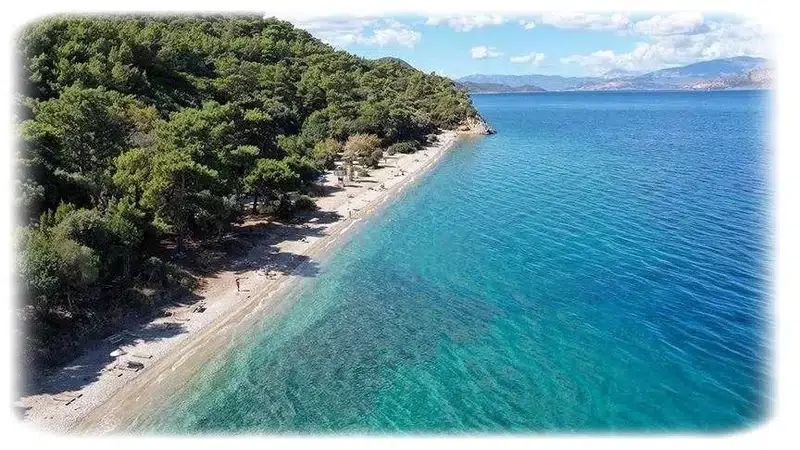 Aydın Efeler İlçesi