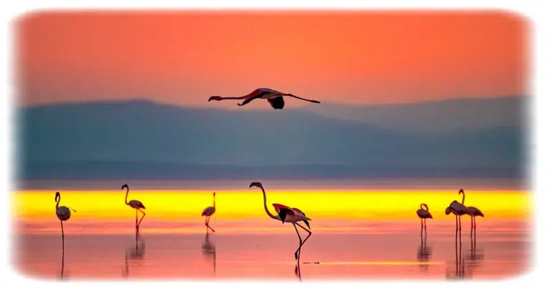 Balıkesir Manyas İlçesi