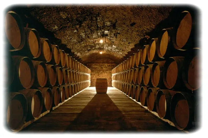 Türkiye’nin Şarap Fabrikası